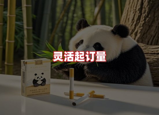 专业团队